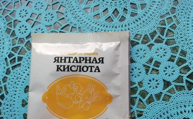 Янтарная кислота